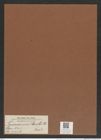 Triceratium shadboltii Bail. (de-Toni-Nr.: Genus 140, Species 4056) Zeichnungen Sammlung Grunow Mappe 04012 (Herbarium_W_Grunow_drawings_Folder_04012)